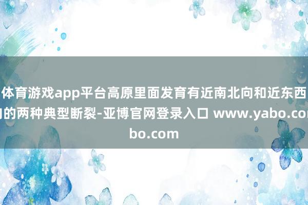 体育游戏app平台高原里面发育有近南北向和近东西向的两种典型断裂-亚博官网登录入口 www.yabo.com