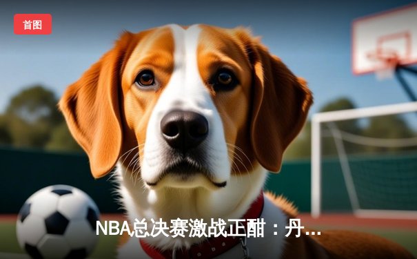 NBA总决赛激战正酣：丹佛掘金主场逆转迈阿密热火，约基奇狂砍三双主导战局